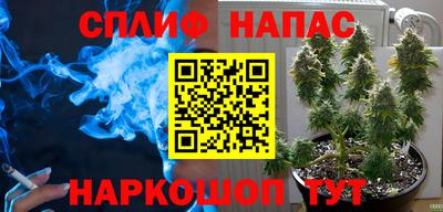 PSILOCYBIN Бузулук