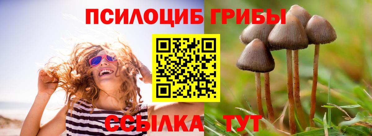Галлюциногенные грибы GOLDEN TEACHER Мичуринск