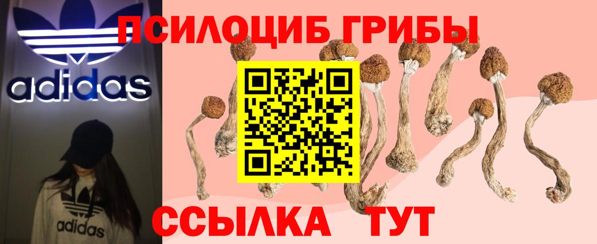 Псилоцибиновые грибы Psilocybe  Галлюциногенные грибы мицелий  Вход с VPN  Мичуринск 